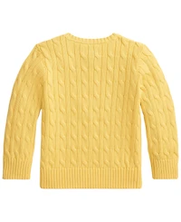 Polo Ralph Lauren Boys' 2T-7 Long-Sleeve Sweater