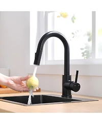 Phying Pull Down Sprayer Sink Faucet Black Modern Multifunctional Faucet Design for Kitchen Bathroom Mini Bar Prep Counter