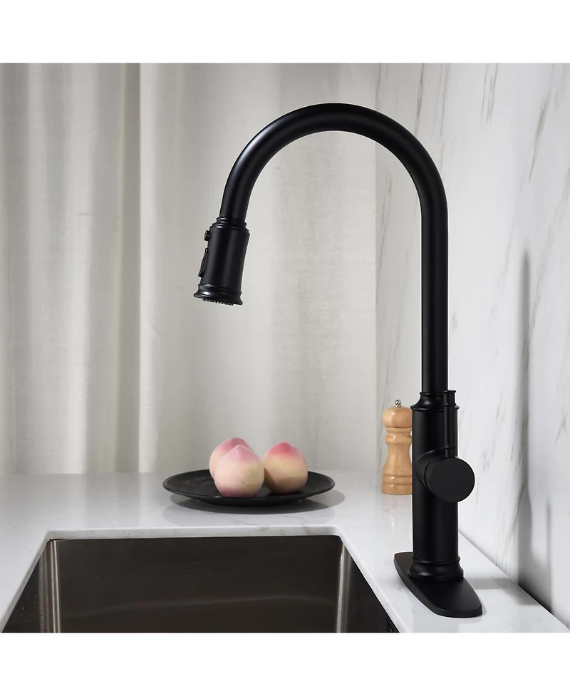 Phying Kitchen Faucet with Pull Out Spraye