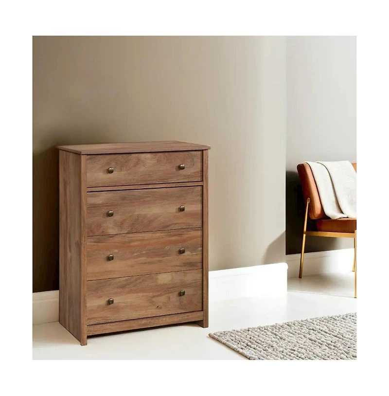 Starlight Canyon Home 4-Drawer Bedroom Chest for Clothing Storage with Simple Design