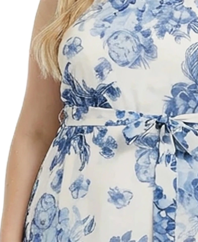 Ny Collection Plus Size Sleeveless Chiffon Maxi Dress