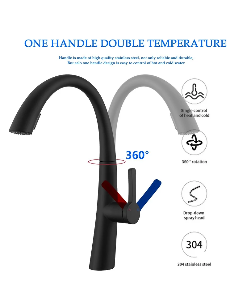 Phying Stainless Steel Pull Out Kitchen Faucet