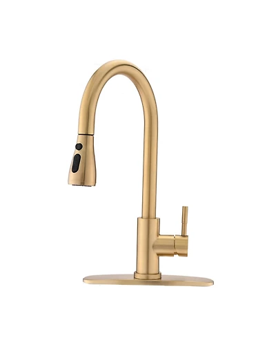 Phying Pull Down Kitchen Faucet with Sprayer Stainless Steel Brushed Gold