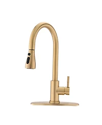 Phying Pull Down Kitchen Faucet with Sprayer Stainless Steel Brushed Gold