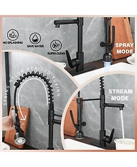 Phying Kitchen Sink Faucet with Led Pull Down Sprayer, Commercial Single Handle High Arc Kitchen Faucet