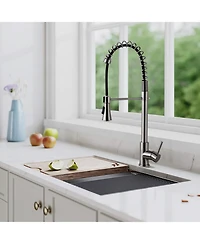 Phying Brushed Nickel Single Handle Commercial Modern Spring High Arc Kitchen Faucet Water Filter System Bends as You Want