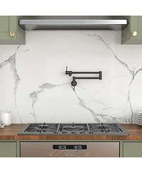 Phying Pot Filler Faucet