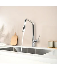 Phying Professional Chrome Kitchen Faucet