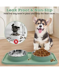 Aronkl Stainless Steel Pet Feeder Set Non-Slip Spill Proof Removable Bowls for Small Pets