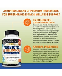Probiotic 65 Billion - Probiotics with Prebiotic for Women & Men - Lactobacillus Acidophilus Digestive Health Capsules - Targeted Release Technology
