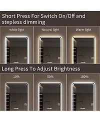 Laoties Led Full Length Mirror with Lights, Dimmable