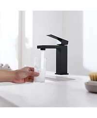 Busdays Single Hole Brass Bathroom Faucet Single Handle Square Vanity Faucet with Pop Up Drain and Water Supply Hoses