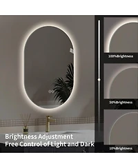 Laoties 48" x Oval Wall-Mounted Led Touch Bathroom Mirror, Anti-Fog Vanity Mirror for Home or Barber Shop