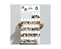 Tf Publishing Paper Goods 2027 Cat-a-Day Wall Calendar