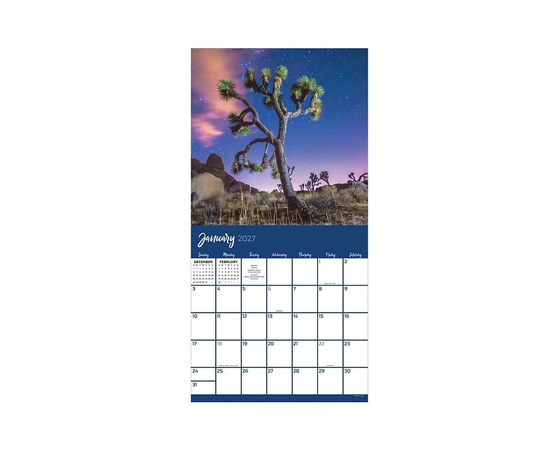 Tf Publishing Paper Goods 2027 Trees Wall Calendar