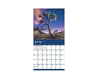 Tf Publishing Paper Goods 2027 Trees Wall Calendar