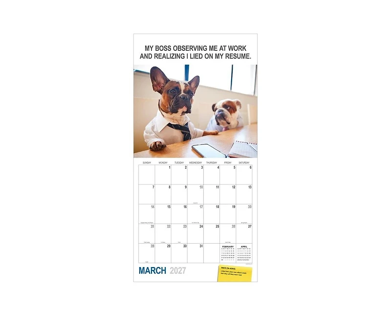 Tf Publishing Paper Goods 2027 Desk Dogs Wall Calendar