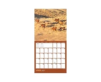 Tf Publishing Paper Goods 2027 Horses Mini Calendar