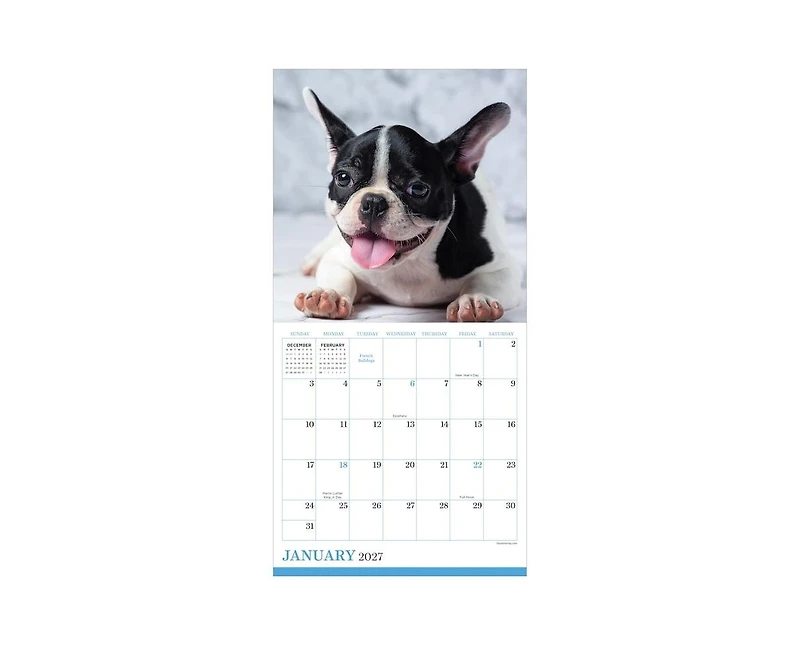Tf Publishing Paper Goods 2027 Puppies Mini Calendar