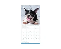 Tf Publishing Paper Goods 2027 Puppies Mini Calendar