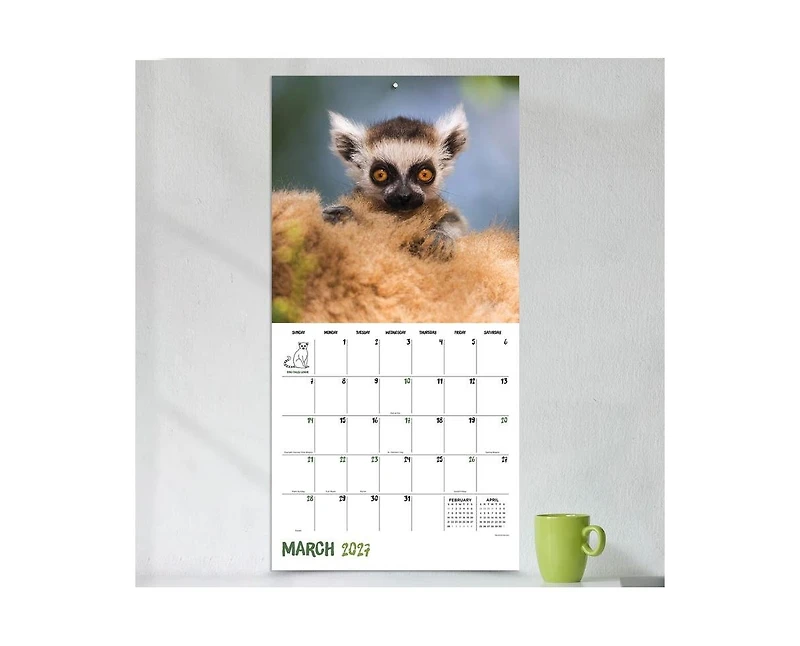 Tf Publishing Paper Goods 2027 Baby Animals Wall Calendar