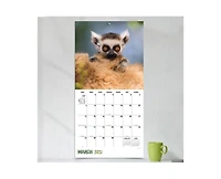 Tf Publishing Paper Goods 2027 Baby Animals Wall Calendar