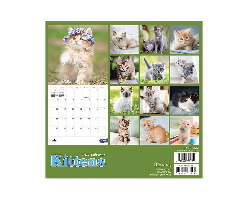 Tf Publishing Paper Goods 2027 Kittens Mini Calendar