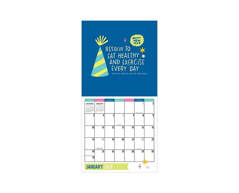 Tf Publishing Paper Goods 2027 Amy Smyth Humor Wall Calendar