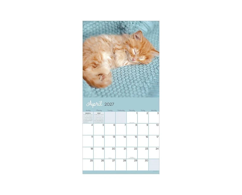 Tf Publishing Paper Goods 2027 Cat Dreams Wall Calendar
