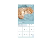 Tf Publishing Paper Goods 2027 Cat Dreams Wall Calendar