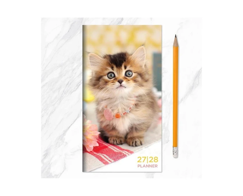 Tf Publishing Paper Goods 2027-2028 Kitten Small Monthly Pocket Planner