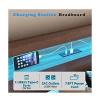 Lucky One Queen Size Wooden Platform Bed Frame with Bookcase Headboard, 2 Storage Drawers, Led Lights, Usb Charging, No Box Spring Needed