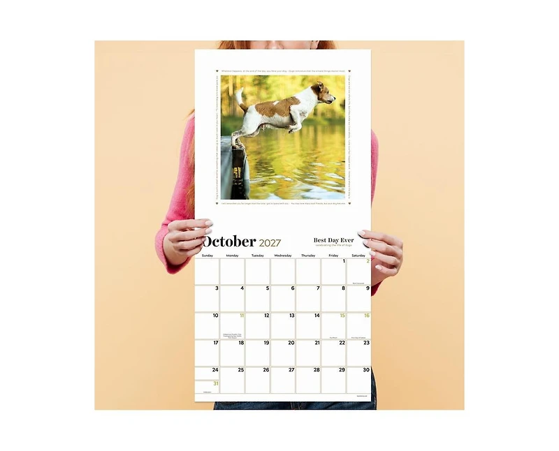 Tf Publishing Paper Goods 2027 Best Day Ever Celebrating The Life of Dogs Wall Calendar