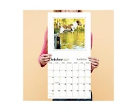 Tf Publishing Paper Goods 2027 Best Day Ever Celebrating The Life of Dogs Wall Calendar