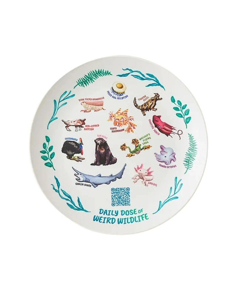 Uncommon Goods Weird Animal Facts 1-Pc. Kids Plate