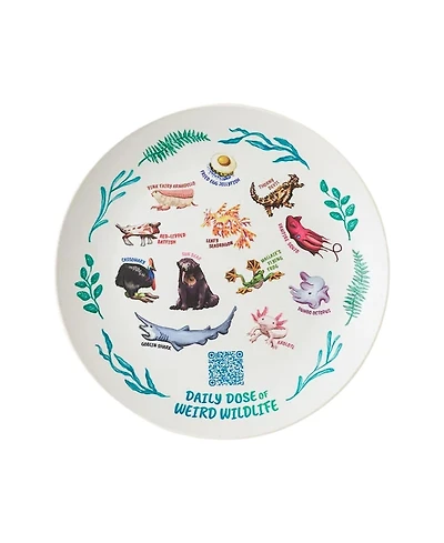 Uncommon Goods Weird Animal Facts 1-Pc. Kids Plate