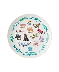 Uncommon Goods Weird Animal Facts 1-Pc. Kids Plate