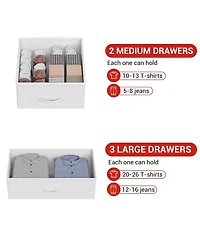 homfan Narrow 5 Drawer Dresser, 47 Inch Fabric Storage Chest with Metal Frame and Shelves for Bedroom or Entryway