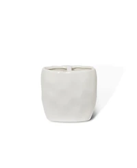 Roselli Trading Company French Impressions 4.5" Toothbrush Holder