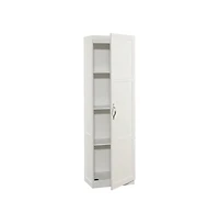 Starlight Canyon Home Gray Finish Storage Cabinet - Spacious Rectangular Design, Durable Construction