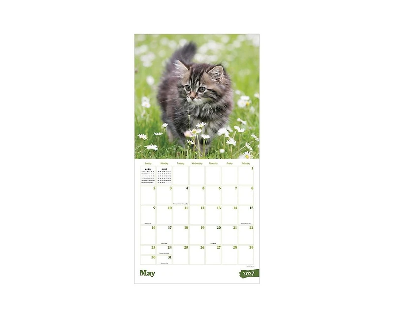 Tf Publishing Paper Goods 2027 Kittens Wall Calendar