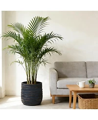 Streamdale Furniture Set of 2 Large Round Magnesium Oxide Planters with Drainage Holes