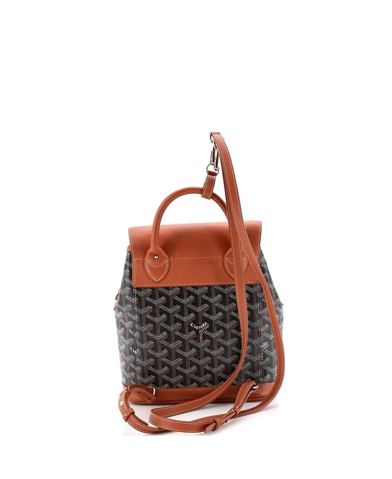 Pre-Owned Goyard Mini Alpin Backpack Coated Canvas