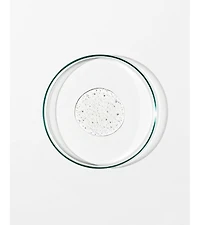 Grown Alchemist Revitalize Hand Wash (500mL)