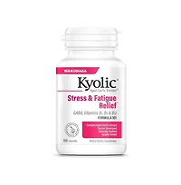 Kyolic Aged Garlic Extract Formula 101, Stress and Fatigue Relief