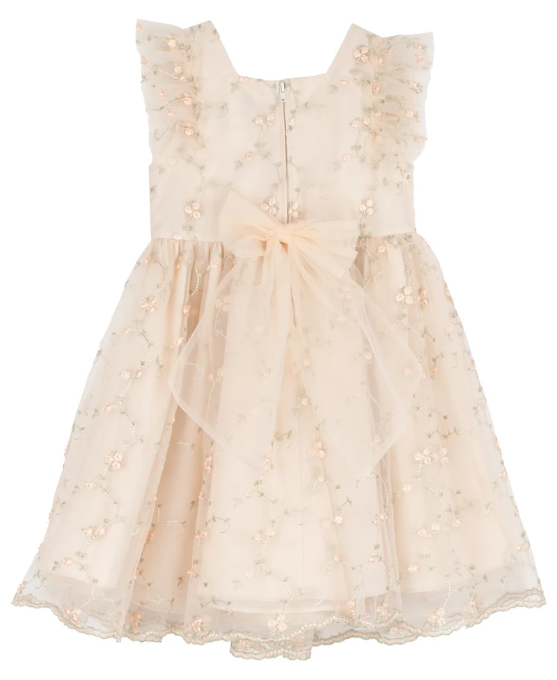 Rare Editions Girls' 2T-6X Embroidered Mesh Flutter Sleeve Dress