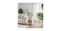Lucky One 17.7"W Rattan Boho Nightstand with 2-Drawer Shelf