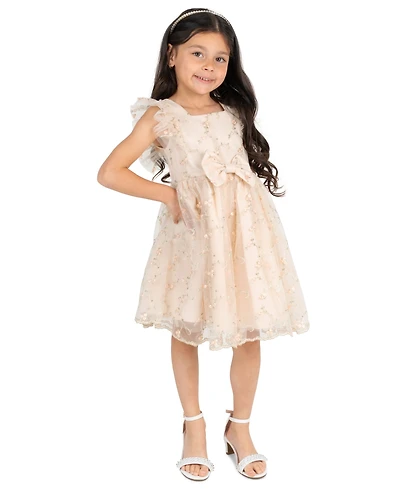 Rare Editions Girls' 2T-6X Embroidered Mesh Flutter Sleeve Dress