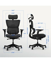 Flexispot C7 Max Series, Premium Ergonomic Foam Seat Office Chair