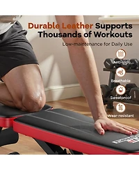 Fed Fitness Adjustable Weight Bench and Dumbbell Set, 660 Lbs Capacity, 25LB Pair (50LB Total) with Storage Box for Full Body Workout